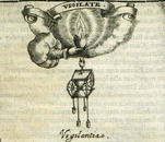 Vigilantia_klein_ Tomasz Treter, Symbolica vitae Christi meditatio,